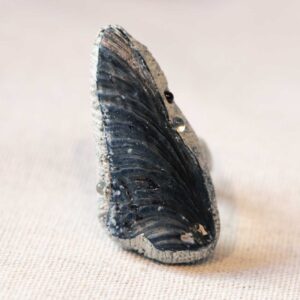 Ring with Sea Shell. Size 8.